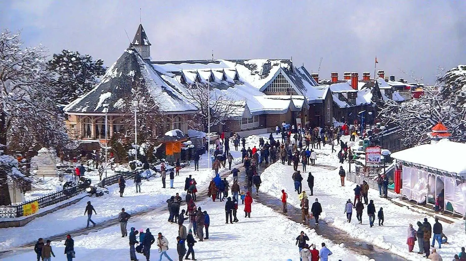 himalayan-tribe-exotic-shimla-tour-package-himachal-pradesh