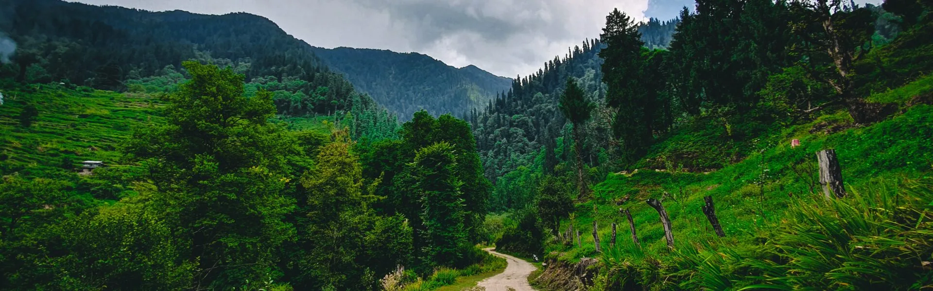 kullu manali volvo package