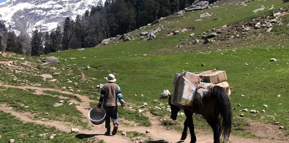 Shimla Manali Rohtang Sissu Tour