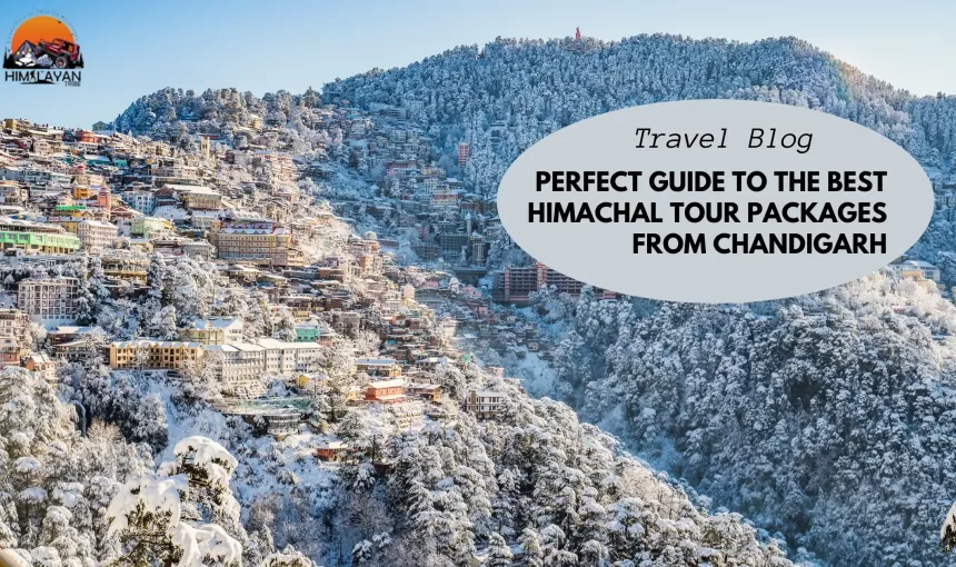 Perfect Guide to the Best Himachal Tour Packages from Chandigarh