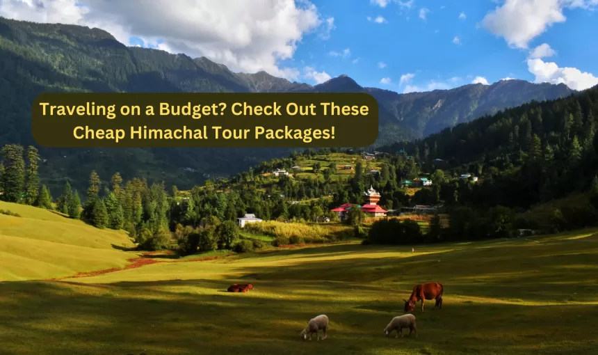 Traveling on a Budget? Check Out These Cheap Himachal Tour Packages!