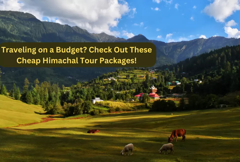 cheap himachal tour packages