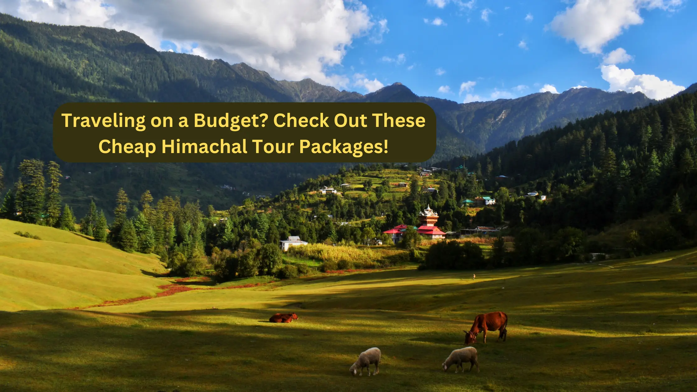 cheap himachal tour packages