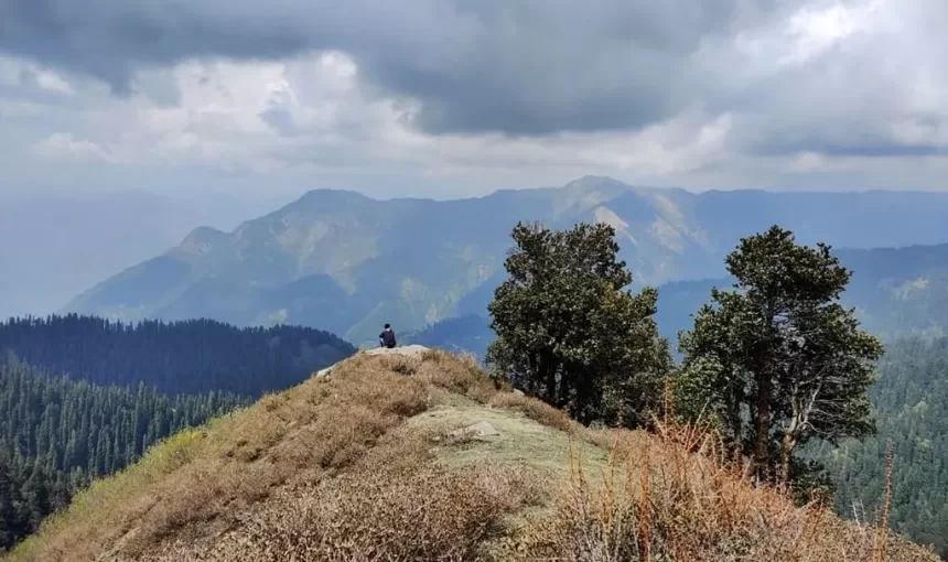 The Ultimate Off-Grid Guide to Tirthan, Sainj, and Pangi Valleys