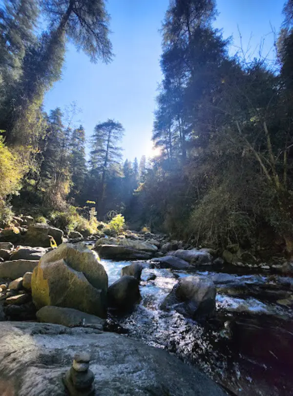 jibhi himachal pradesh