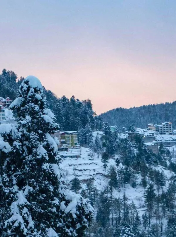 Book Shimla tour packages