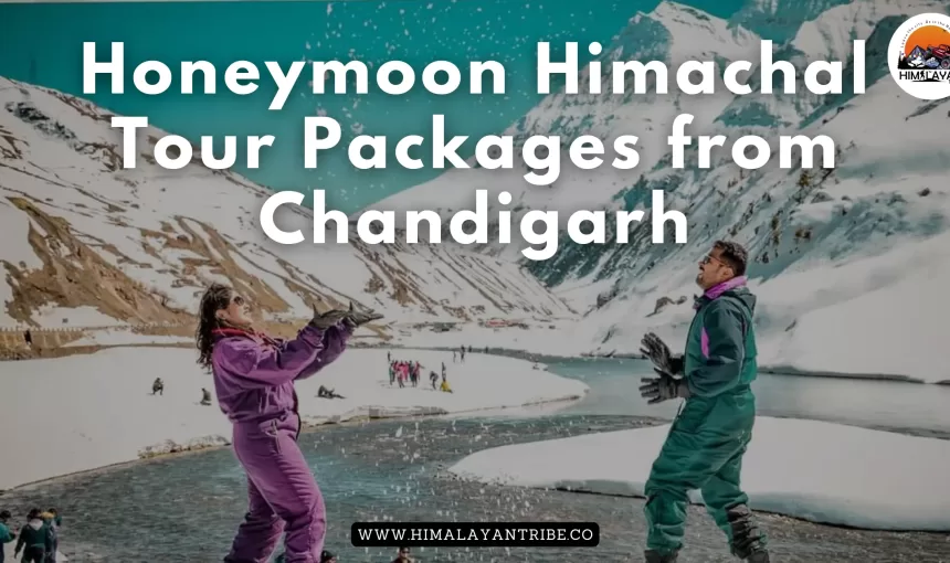 Best Honeymoon Himachal Tour Packages from Chandigarh