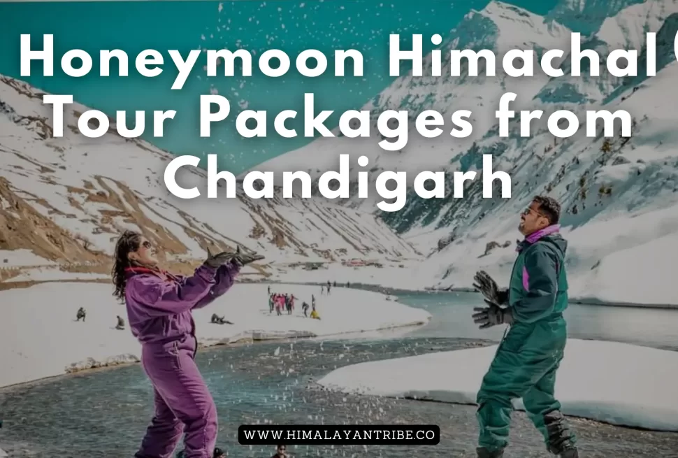 Honeymoon Himachal Tour Packages from Chandigarh