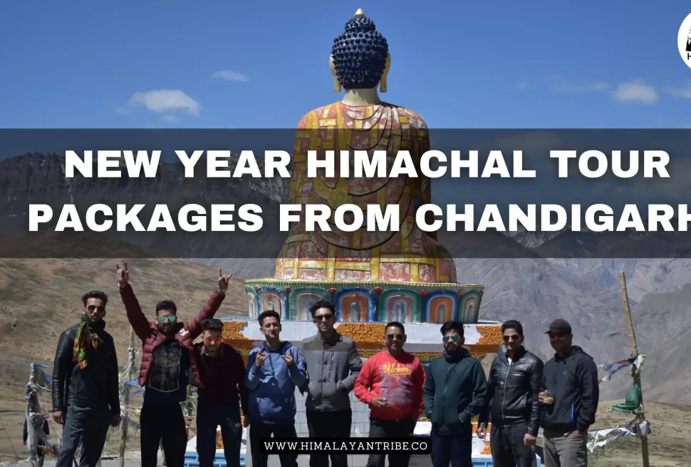 new year himachal tour packages from chandigarh