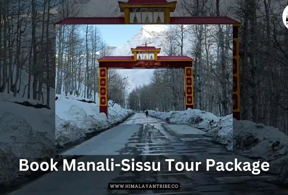 Manali sissu tour package