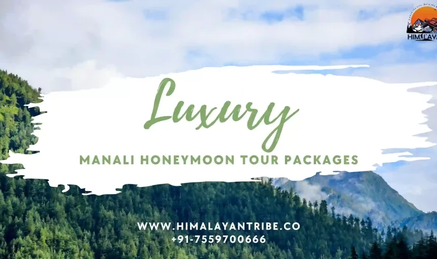 Luxury Manali Honeymoon tour packages