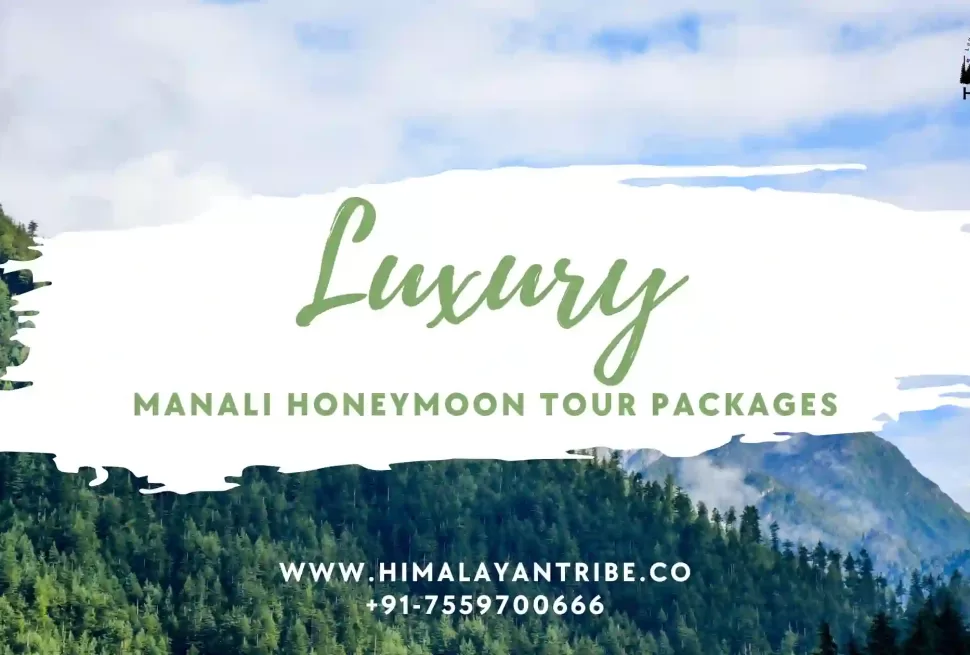 Manali Honeymoon tour packages