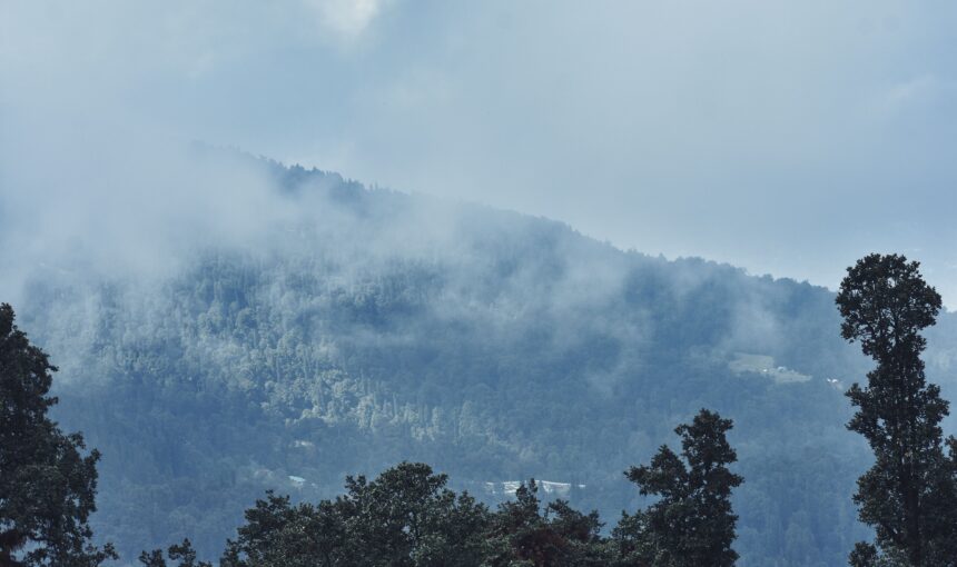 Is it Safe to Visit Manali in July? Here are Answers to All Your Questions